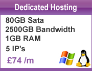 Dedicated Web Hosting Company